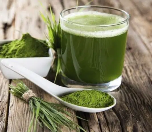 Est-ce que la spiruline fatigue ? spiruline