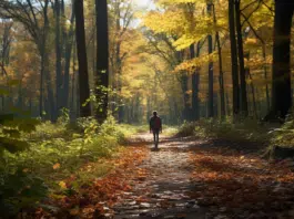 7 conseils pour ne pas tomber dans la dépression après la mort d’un proche