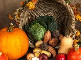 Focus sur les légumes anciens