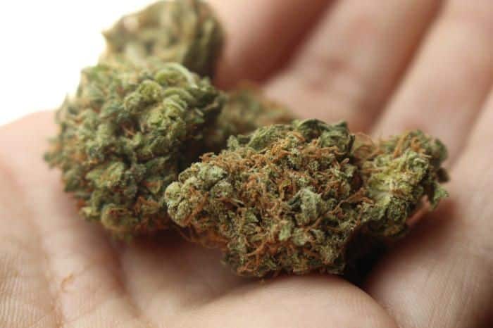 cbd  france