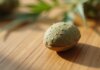 Tout savoir sur la graine de cannabis : usages, variétés et conseils pratiques