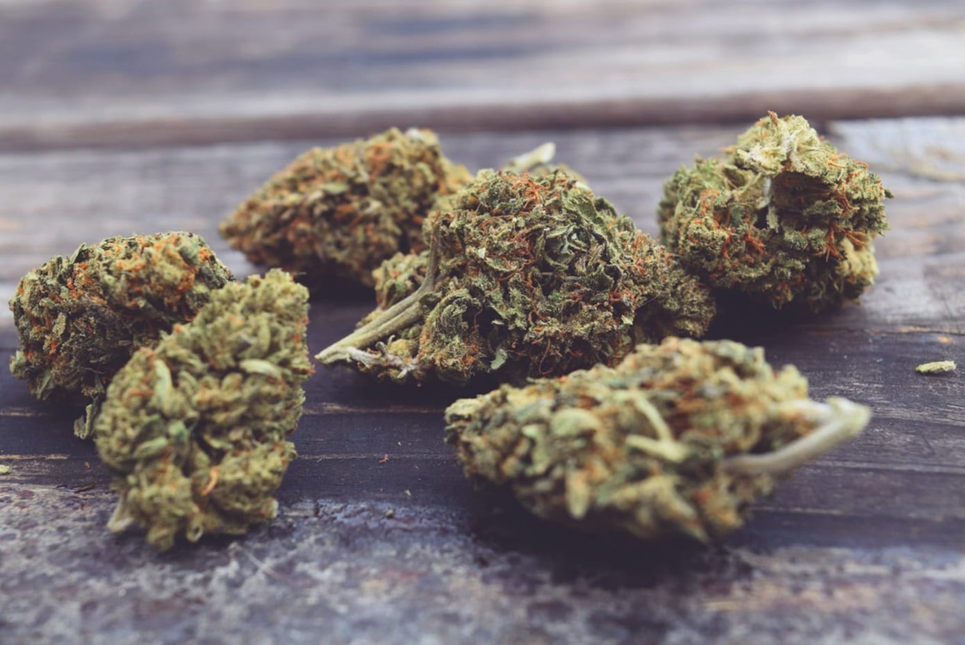 La fleur de CBD quelle est son utilité ? Francoeur