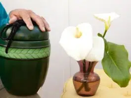 Quel budget pour une crémation