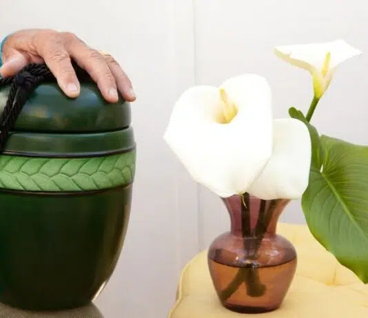 Quel budget pour une crémation ? Quel budget pour une crémation