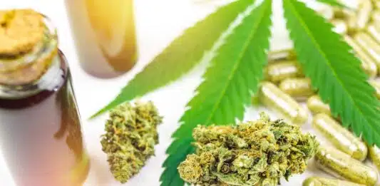 Pourquoi suivre un traitement avec des fleurs en cannabidiol ?