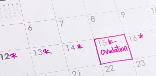 Combien de temps dure l’ovulation – l’une des questions les plus importantes sur la fertilité