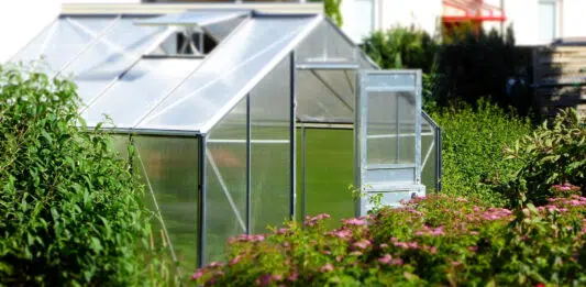 Pourquoi se procurer une serre de jardin ?
