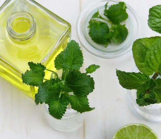 Pratiquez la médecine douce pour retrouver l’équilibre ! Pratiquez la médecine douce pour retrouver l'équilibre !