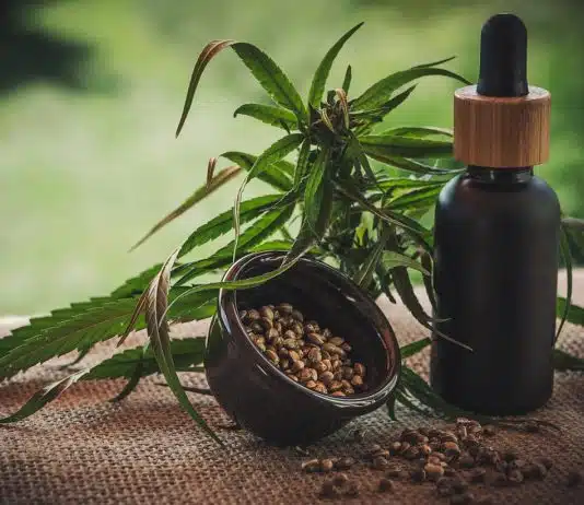 Quels sont les différents produits fabriqués à base du CBD qui sont disponibles sur le marché ? Quels sont les différents produits fabriqués à base du CBD qui sont disponibles sur le marché ?